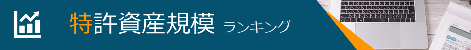 特許資産規模ランキング